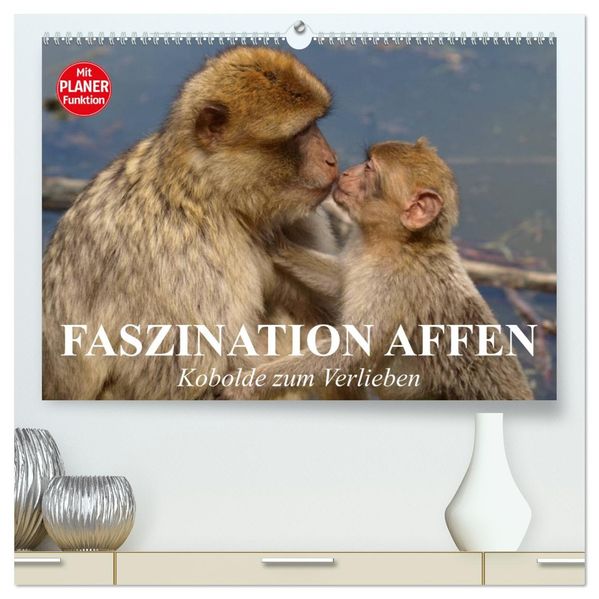 Faszination Affen. Kobolde zum Verlieben (hochwertiger Premium Wandkalender 2027 DIN A2 quer) Kunstdruck in Hochglanz