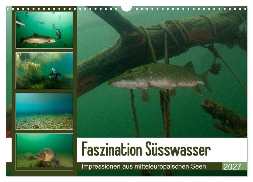 Faszination Süsswasser (Wandkalender 2027 DIN A3 quer) CALVENDO Monatskalender