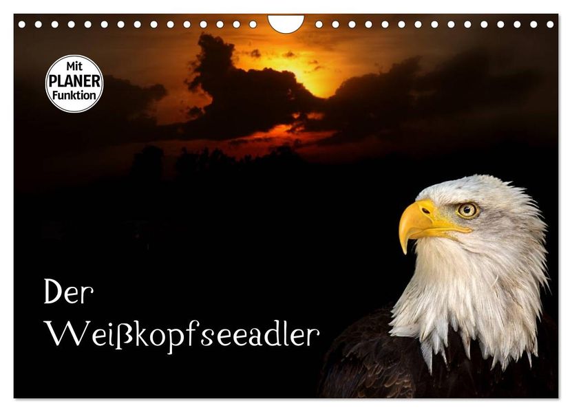 Der Weißkopfseeadler (Wandkalender 2027 DIN A4 quer) CALVENDO Monatskalender