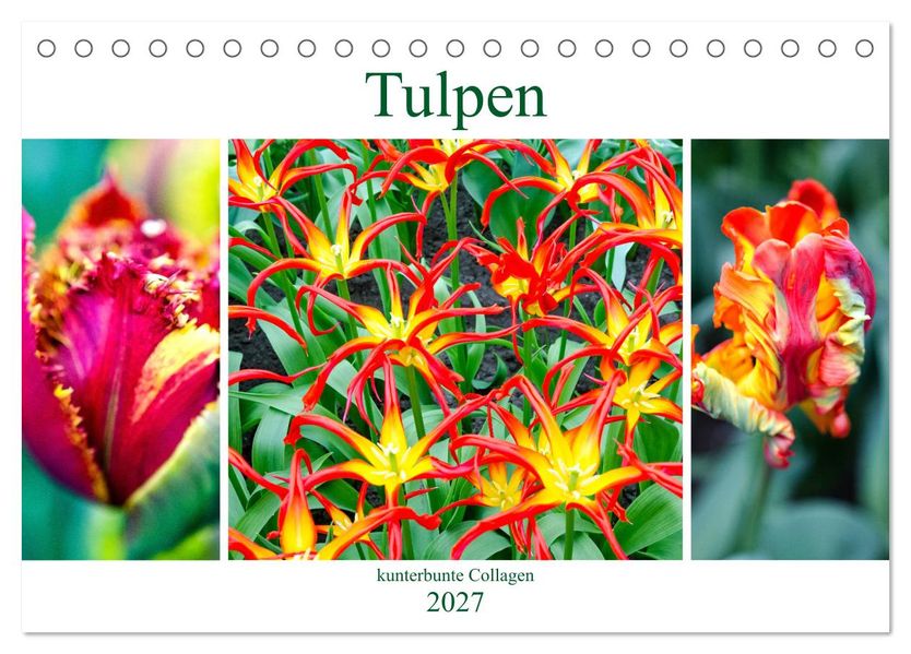 Tulpen - kunterbunte Collagen (Tischkalender 2027 DIN A5 quer) CALVENDO Monatskalender