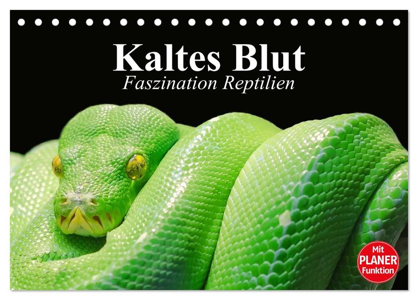 Kaltes Blut. Faszination Reptilien (Tischkalender 2027 DIN A5 quer) CALVENDO Monatskalender