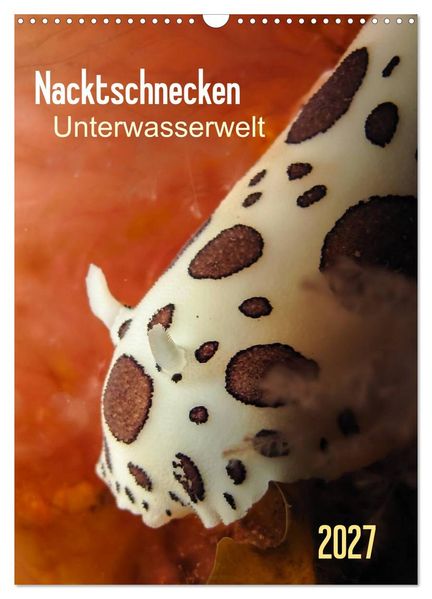 Nacktschnecken - Unterwasserwelt 2027 (Wandkalender 2027 DIN A3 hoch) CALVENDO Monatskalender