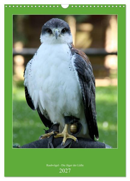 Raubvögel - Die Jäger der Lüfte (Wandkalender 2027 DIN A3 hoch) CALVENDO Monatskalender