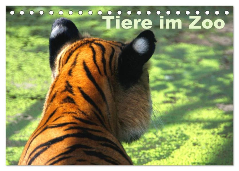 Tiere im Zoo (Tischkalender 2027 DIN A5 quer) CALVENDO Monatskalender