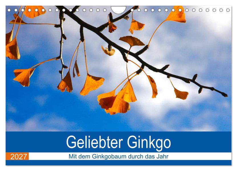 Geliebter Ginkgo (Wandkalender 2027 DIN A4 quer) CALVENDO Monatskalender