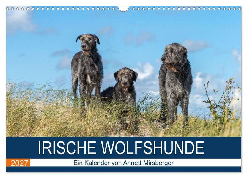 Irische Wolfshunde (Wandkalender 2027 DIN A3 quer) CALVENDO Monatskalender
