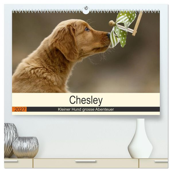 Chesley Kleiner Hund grosse Abenteuer (hochwertiger Premium Wandkalender 2027 DIN A2 quer) Kunstdruck in Hochglanz
