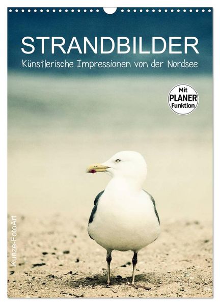Strandbilder - Künstlerische Impressionen von der Nordsee (Wandkalender 2027 DIN A3 hoch) CALVENDO Monatskalender