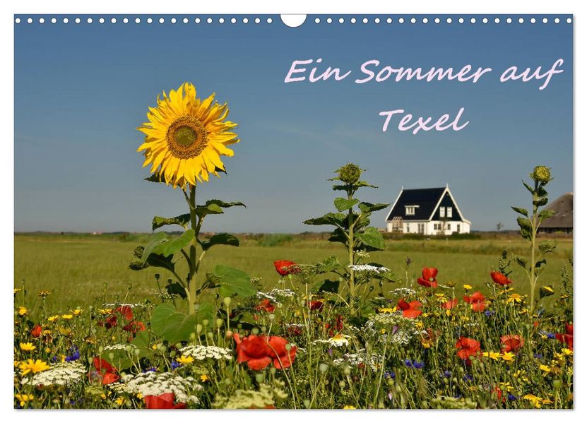 Ein Sommer auf Texel (Wandkalender 2027 DIN A3 quer) CALVENDO Monatskalender