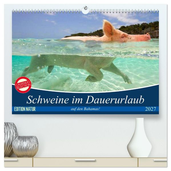 Schweine im Dauerurlaub auf den Bahamas! (hochwertiger Premium Wandkalender 2027 DIN A2 quer) Kunstdruck in Hochglanz