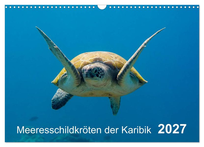 Meeresschildkröten der Karibik (Wandkalender 2027 DIN A3 quer) CALVENDO Monatskalender