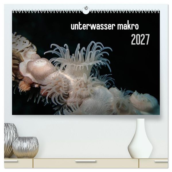 unterwasser makro 2027 (hochwertiger Premium Wandkalender 2027 DIN A2 quer) Kunstdruck in Hochglanz