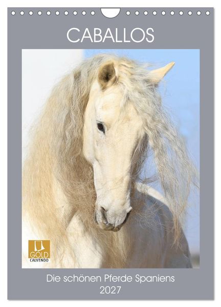 Caballos - Die schönen Pferde Spaniens (Wandkalender 2027 DIN A4 hoch) CALVENDO Monatskalender
