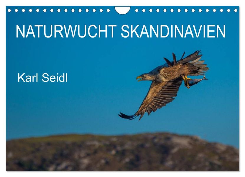 Naturwucht Skandinavien (Wandkalender 2027 DIN A4 quer) CALVENDO Monatskalender