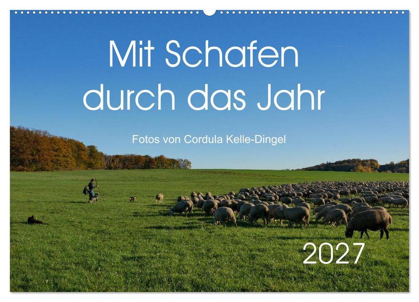 Mit Schafen durch das Jahr (Wandkalender 2027 DIN A2 quer) CALVENDO Monatskalender