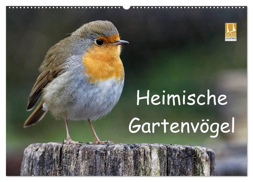 Heimische Gartenvögel (Wandkalender 2027 DIN A2 quer) CALVENDO Monatskalender