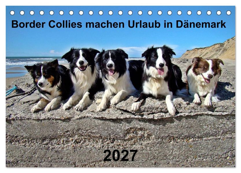 Border Collies machen Urlaub in Dänemark (Tischkalender 2027 DIN A5 quer) CALVENDO Monatskalender