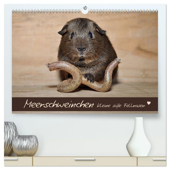 Meerschweinchen - Kleine süße Fellnasen (hochwertiger Premium Wandkalender 2027 DIN A2 quer) Kunstdruck in Hochglanz