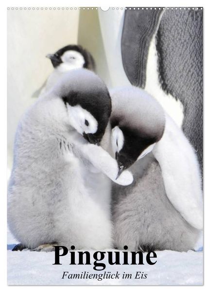 Pinguine. Familienglück im Eis (Wandkalender 2027 DIN A2 hoch) CALVENDO Monatskalender