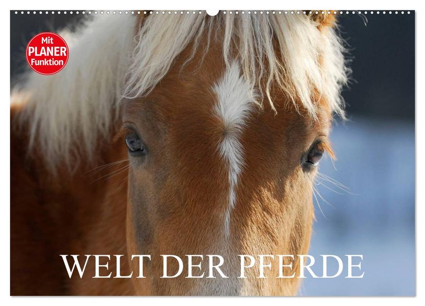 Welt der Pferde (Wandkalender 2027 DIN A2 quer) CALVENDO Monatskalender