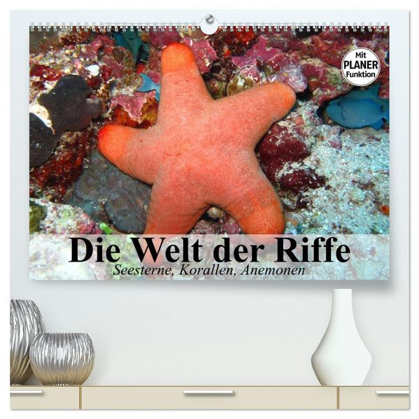 Die Welt der Riffe. Seesterne Korallen Anemonen (hochwertiger Premium Wandkalender 2027 DIN A2 quer) Kunstdruck in Hochglanz