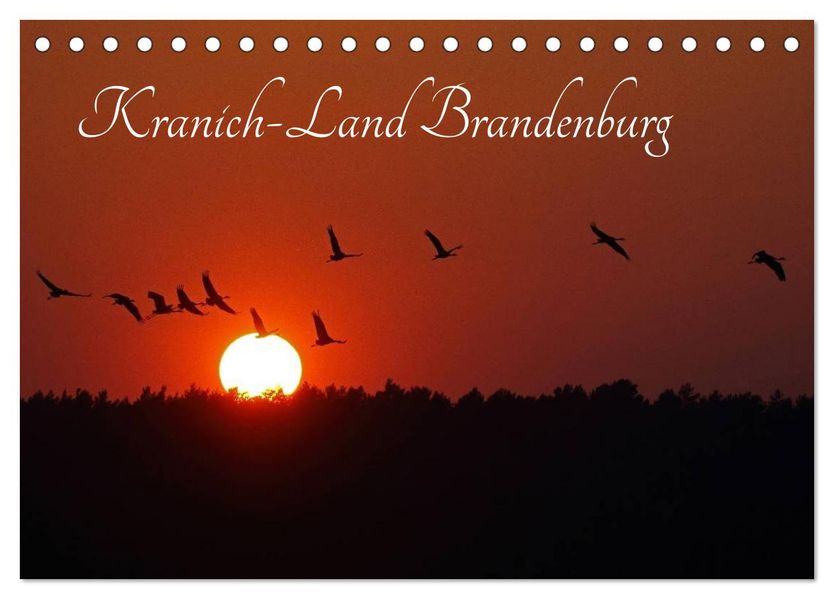 Kranich-Land Brandenburg (Tischkalender 2027 DIN A5 quer) CALVENDO Monatskalender