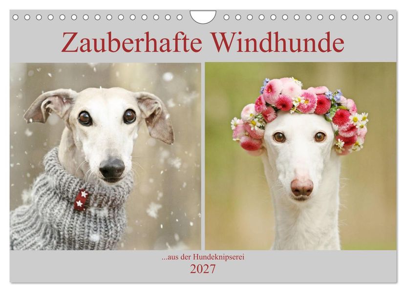 Zauberhafte Windhunde (Wandkalender 2027 DIN A4 quer) CALVENDO Monatskalender