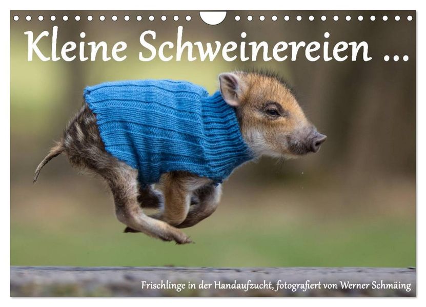 Kleine Schweinereien (Wandkalender 2027 DIN A4 quer) CALVENDO Monatskalender