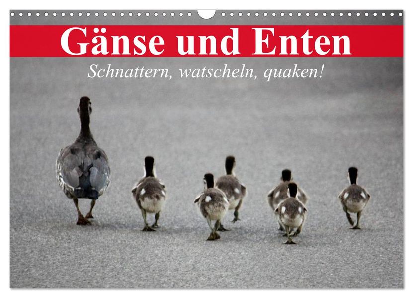 Gänse und Enten. Schnattern watscheln quaken! (Wandkalender 2027 DIN A3 quer) CALVENDO Monatskalender