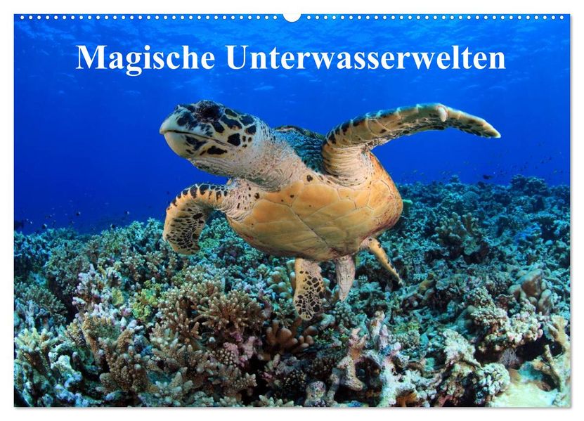 Magische Unterwasserwelten (Wandkalender 2027 DIN A2 quer) CALVENDO Monatskalender