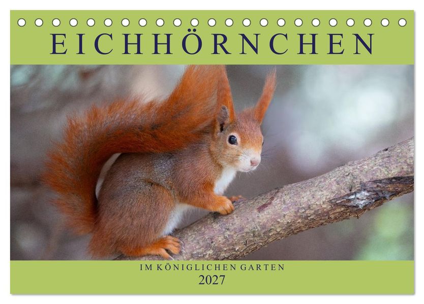 Eichhörnchen im Königlichen Garten (Tischkalender 2027 DIN A5 quer) CALVENDO Monatskalender