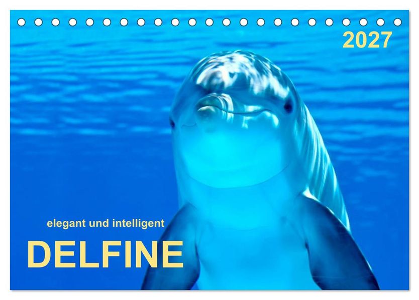 Delfine - elegant und intelligent (Tischkalender 2027 DIN A5 quer) CALVENDO Monatskalender