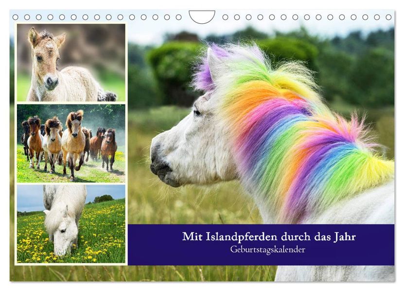 Mit Islandpferden durch das Jahr Geburtstagskalender (Wandkalender 2027 DIN A4 quer) CALVENDO Monatskalender