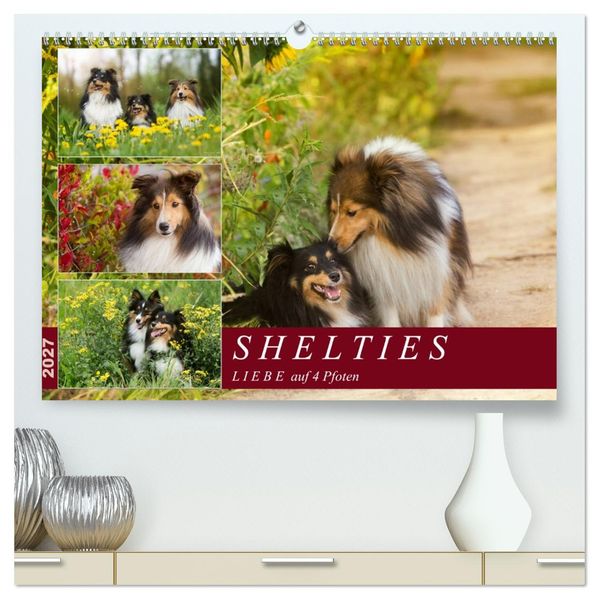 SHELTIES Liebe auf 4 Pfoten (hochwertiger Premium Wandkalender 2027 DIN A2 quer) Kunstdruck in Hochglanz