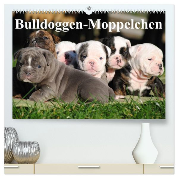 Bulldoggen-Moppelchen (hochwertiger Premium Wandkalender 2027 DIN A2 quer) Kunstdruck in Hochglanz