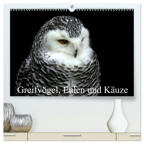 Greifvögel Eulen und Käuze (hochwertiger Premium Wandkalender 2027 DIN A2 quer) Kunstdruck in Hochglanz