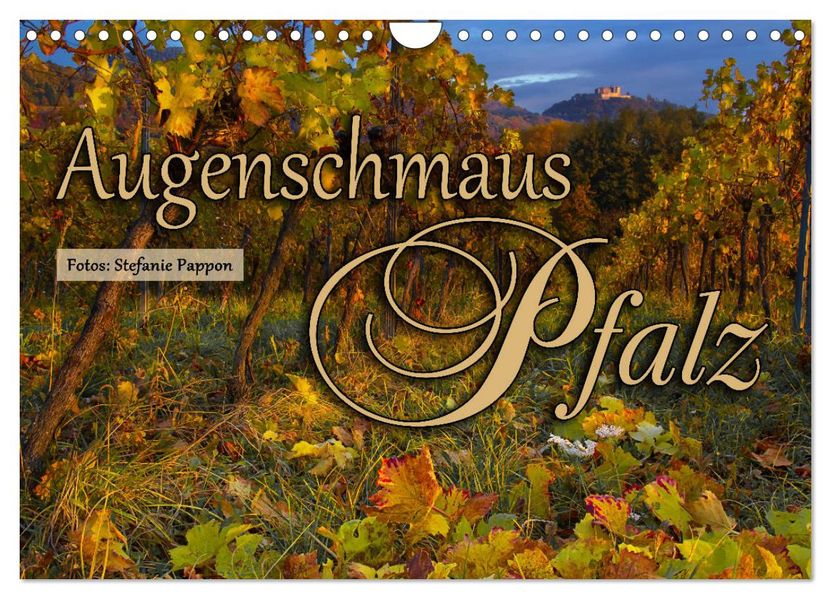 Augenschmaus Pfalz (Wandkalender 2027 DIN A4 quer) CALVENDO Monatskalender