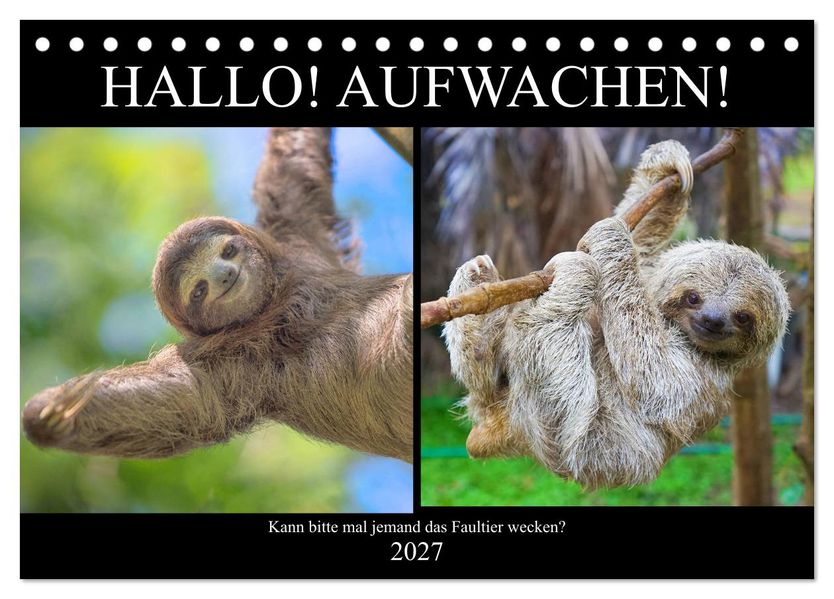 Hallo! Aufwachen! Kann bitte mal jemand das Faultier wecken? (Tischkalender 2027 DIN A5 quer) CALVENDO Monatskalender