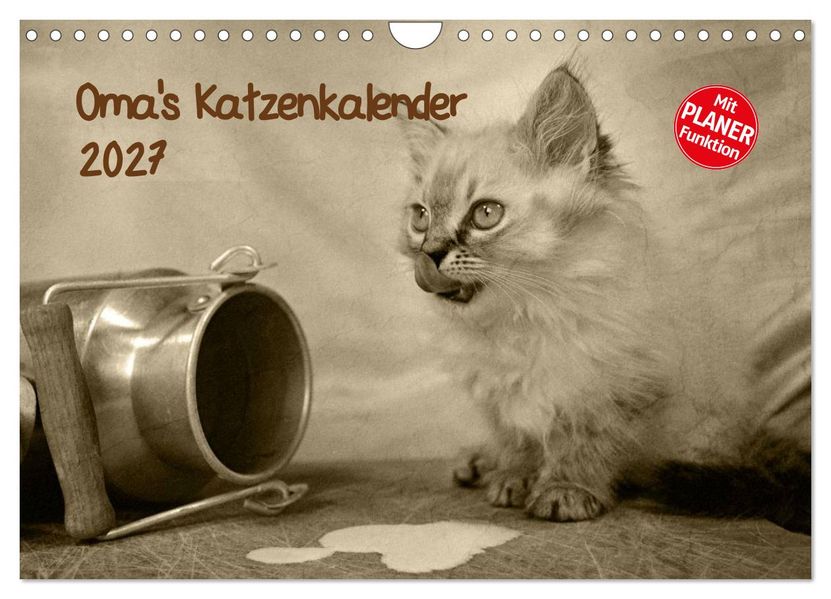 Oma's Katzenkalender 2027 (Wandkalender 2027 DIN A4 quer) CALVENDO Monatskalender
