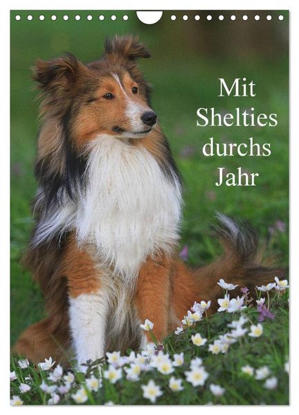 Mit Shelties durchs Jahr (Wandkalender 2027 DIN A4 hoch) CALVENDO Monatskalender