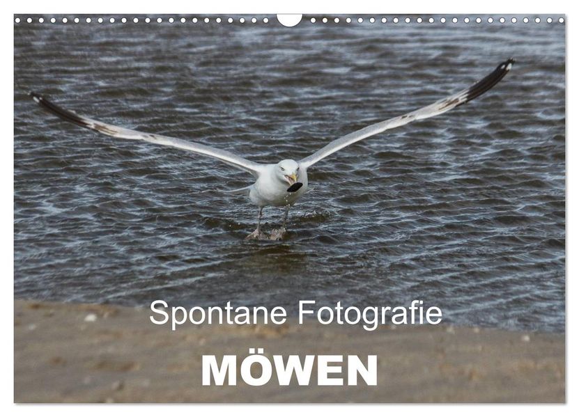 Spontane Fotografie - Möwen (Wandkalender 2027 DIN A3 quer) CALVENDO Monatskalender