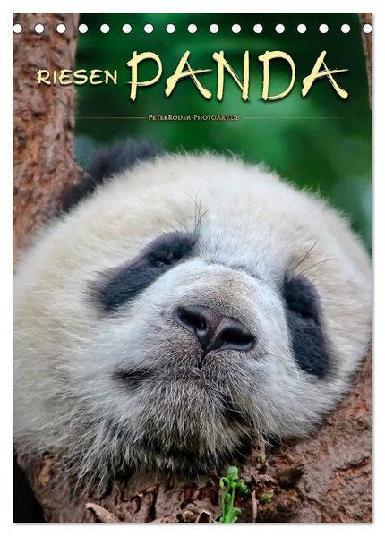 Riesenpanda (Tischkalender 2027 DIN A5 hoch) CALVENDO Monatskalender