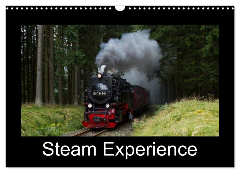 Steam Experience (Wall Calendar 2027 DIN A3 landscape) CALVENDO 12 Month Wall Calendar