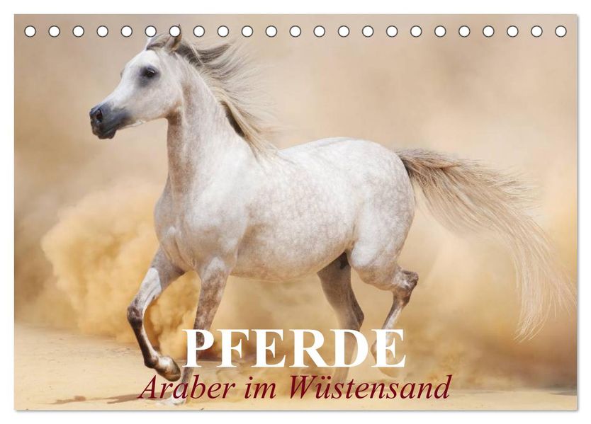 Pferde Araber im Wüstensand (Tischkalender 2027 DIN A5 quer) CALVENDO Monatskalender
