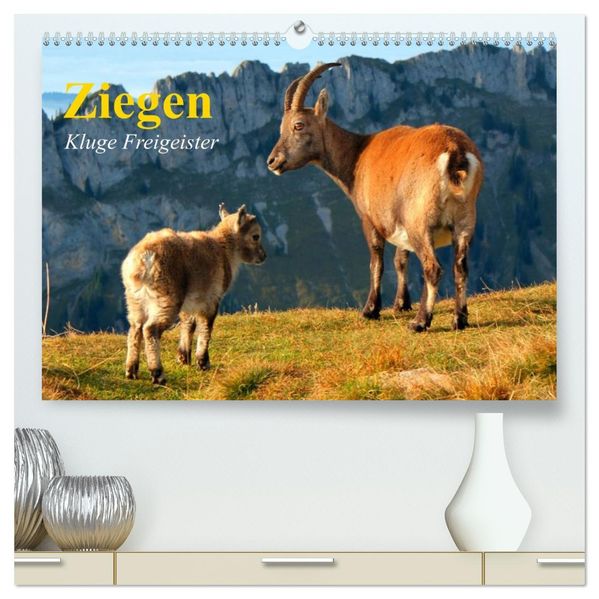 Ziegen. Kluge Freigeister (hochwertiger Premium Wandkalender 2027 DIN A2 quer) Kunstdruck in Hochglanz