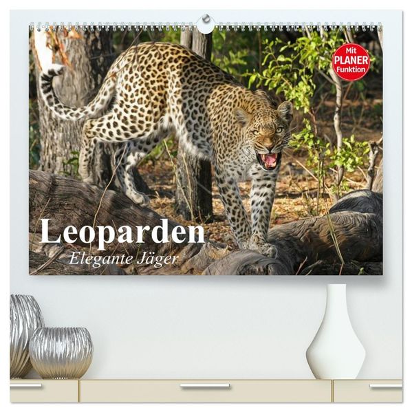 Leoparden. Elegante Jäger (hochwertiger Premium Wandkalender 2027 DIN A2 quer) Kunstdruck in Hochglanz