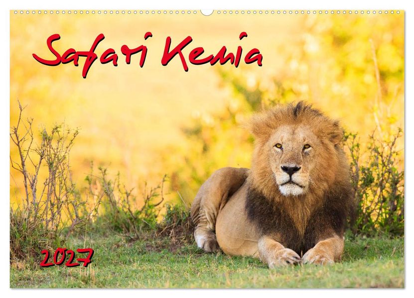 Safari Kenia (Wandkalender 2027 DIN A2 quer) CALVENDO Monatskalender