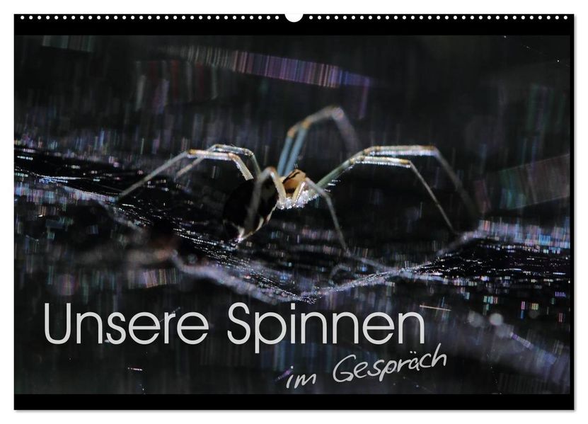 Unsere Spinnen - im Gespräch (Wandkalender 2027 DIN A2 quer) CALVENDO Monatskalender