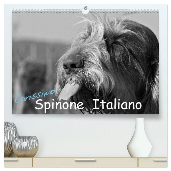 Carissimo Spinone Italiano (hochwertiger Premium Wandkalender 2027 DIN A2 quer) Kunstdruck in Hochglanz