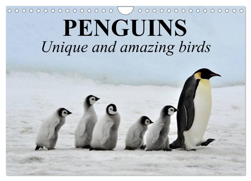 Penguins Unique and amazing birds (Wall Calendar 2027 DIN A4 landscape) CALVENDO 12 Month Wall Calendar